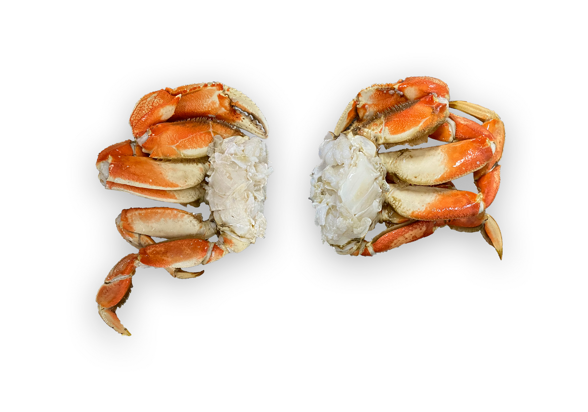 Pacific Dream Seafoods Dungeness crab sections on white